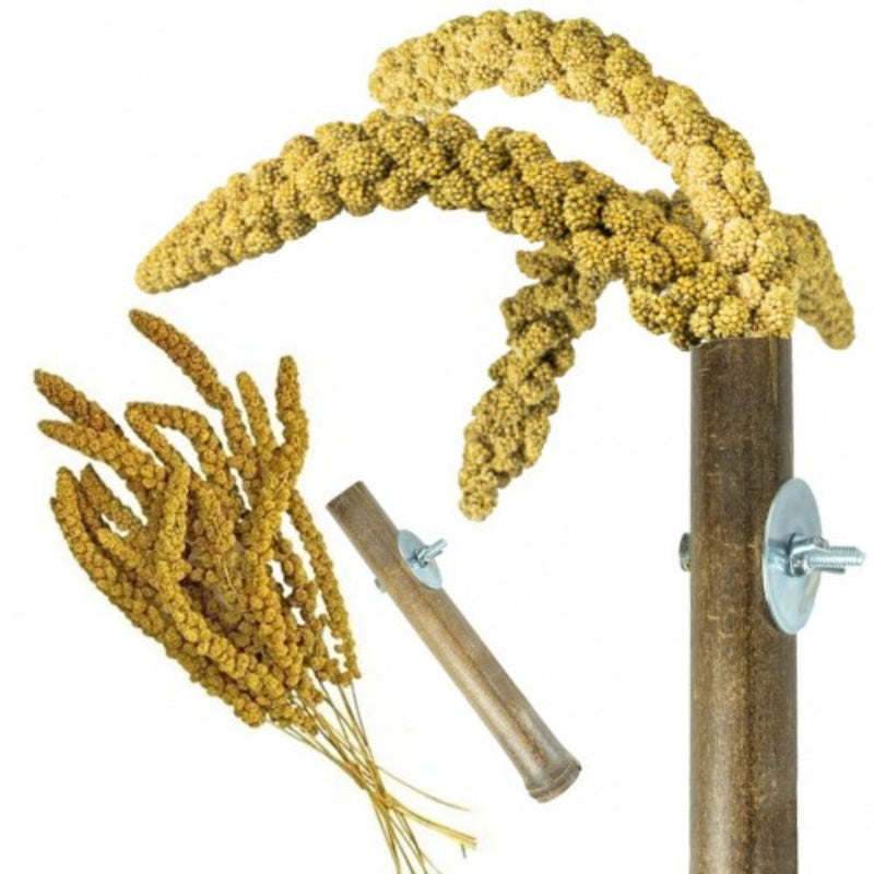 Load image into Gallery viewer, Back Zoo Nature Grass Keeper Perch for foraging and shredding
