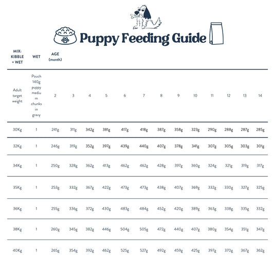 Feeding Guide