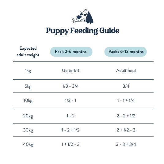 Feeding Guide