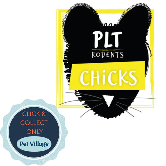 Frozen Chicks 25 Pack – premium reptile and bird of prey feeder