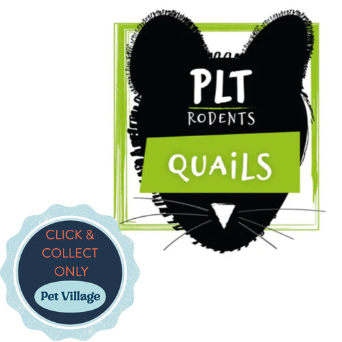 Frozen Quail 100g+ – nutrient-rich whole prey for reptiles and birds of prey