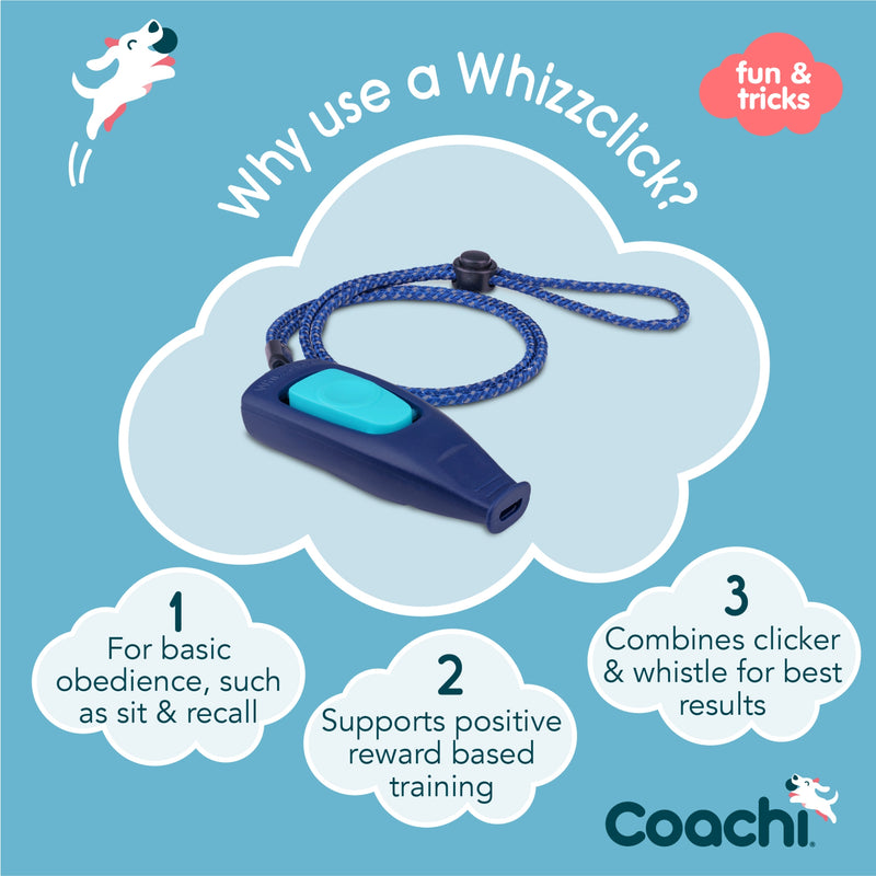 Load image into Gallery viewer, Coachi Whizzclick – Light Blue &amp; Navy

