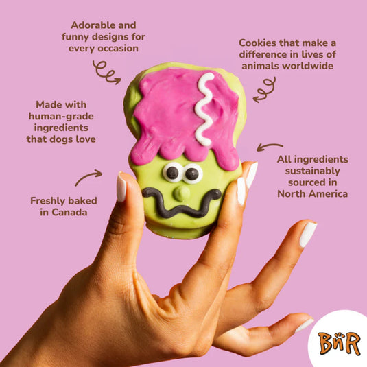 Bosco and Roxy’s Assorted Trick or Treat Cupcake Dog Biscuit