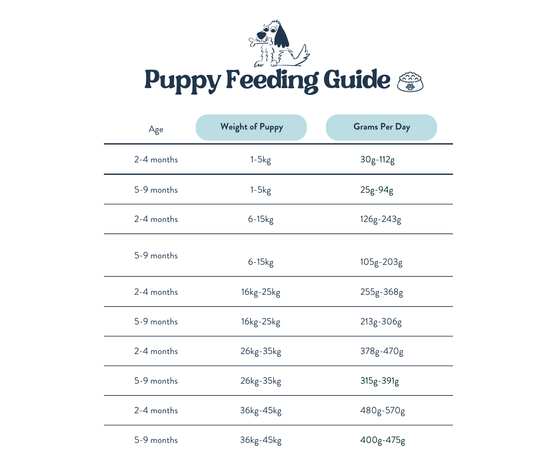 Feeding Guide