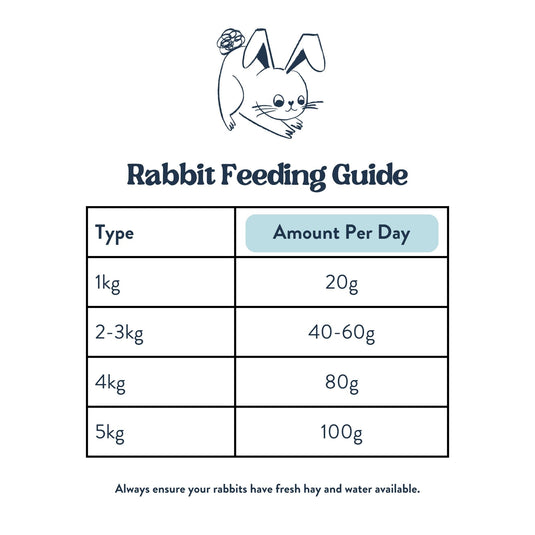 Feeding Guide