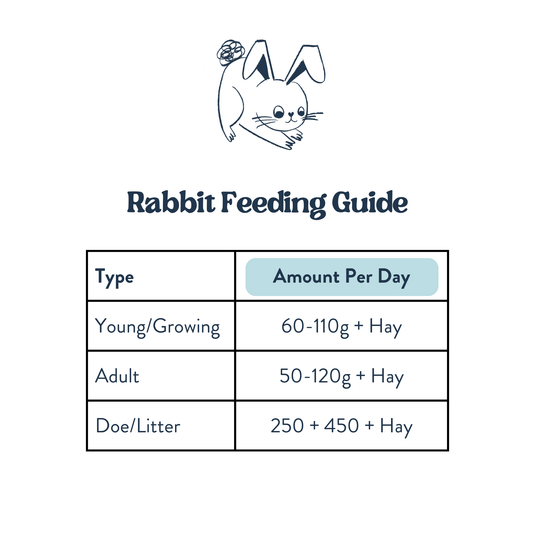 Feeding Guide