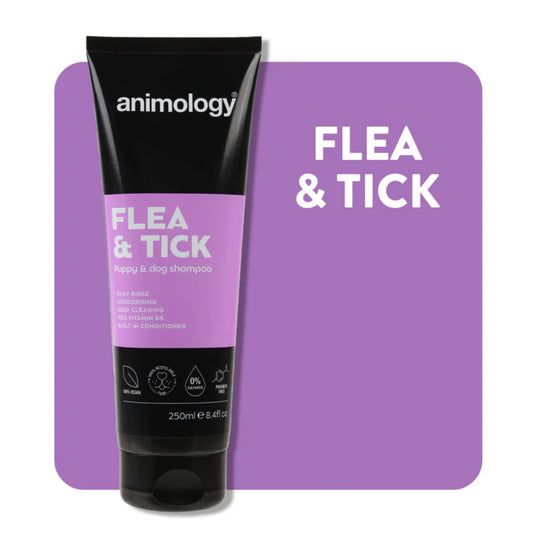Animology Flea & Tick Shampoo 250ml bottle, anti-parasite shampoo for dogs