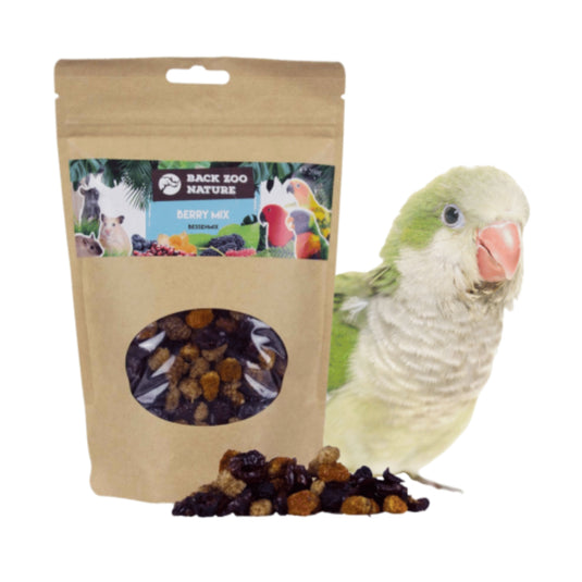 Back Zoo Nature Berry Mix Treats 200g — natural dried berries for rodents, rabbits, and birds
