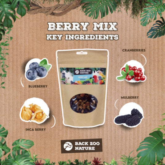 Back Zoo Nature Berry Mix Treats for Rodents, Rabbits & Birds 200g