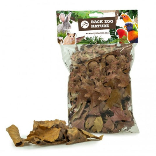 Back Zoo Nature Discovery Leaves — dried leaves for small pet bedding and enrichment