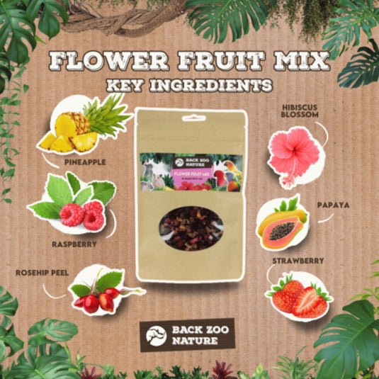 Back Zoo Nature Flower & Fruit Mix Treats 100 g — for Birds, Rabbits, & Small Pets
