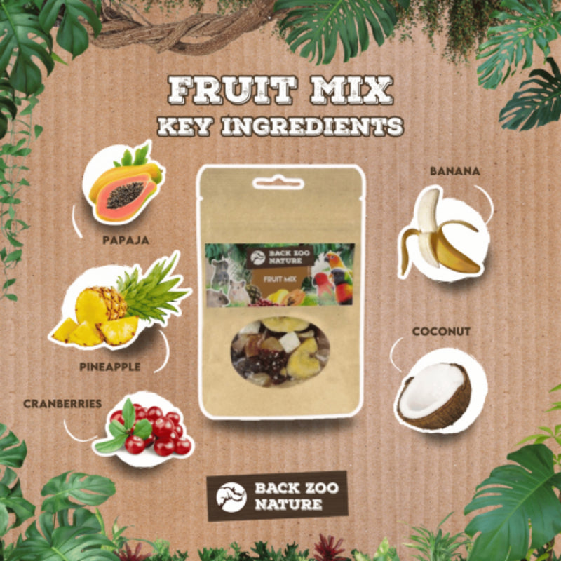 Load image into Gallery viewer, Back Zoo Nature Fruit Mix Treats 40 g — for Rodents, Rabbits &amp; Birds
