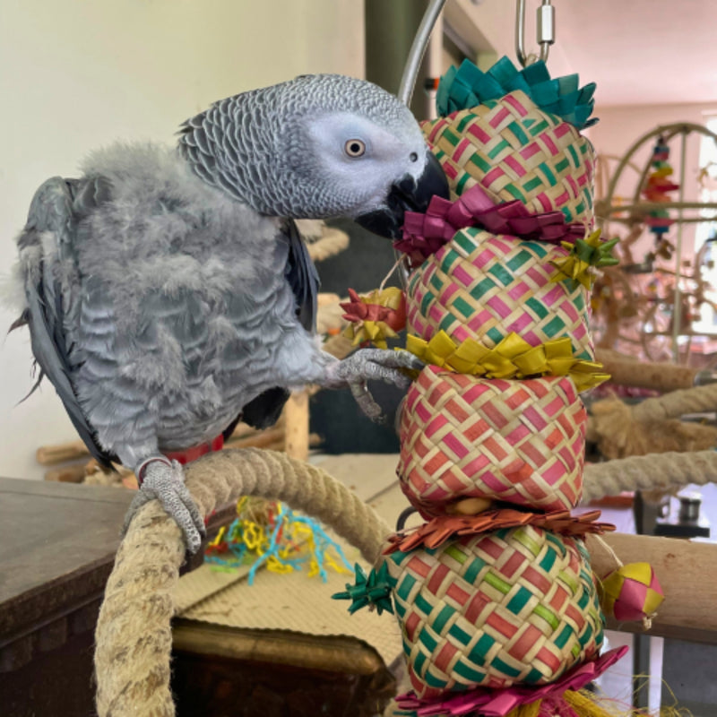 Load image into Gallery viewer, Back Zoo Nature Flower Tower — Treat &amp; Foraging Toy for Birds
