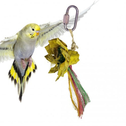 Back Zoo Nature Sunflower Toy — foraging and enrichment toy for birds, allows hiding treats
