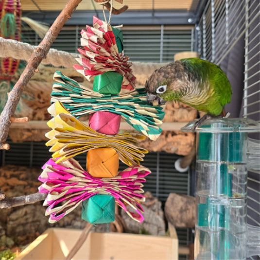 Back Zoo Nature Palmleaf Tower — Enrichment & Foraging Toy for Birds