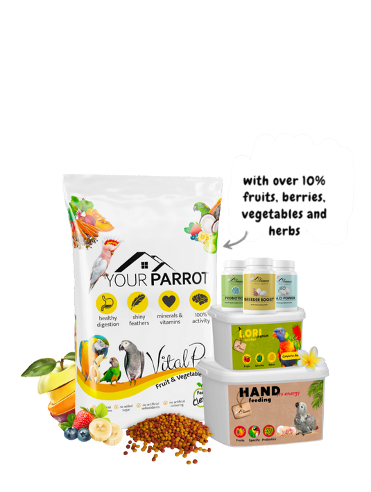 Your Parrot Food