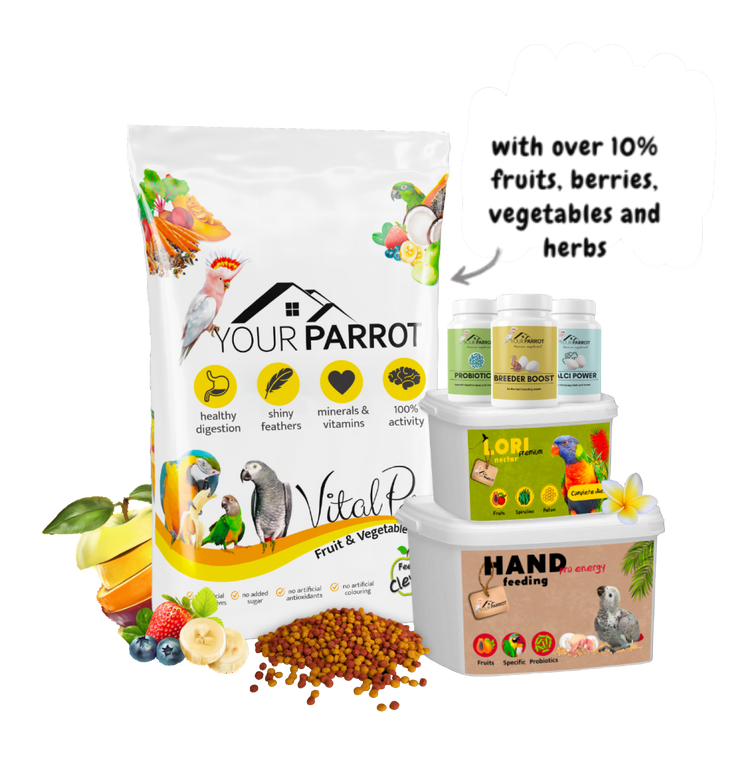Your Parrot Food