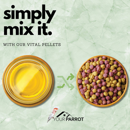Your Parrot Mixed Premium Nut Oil for Parrots