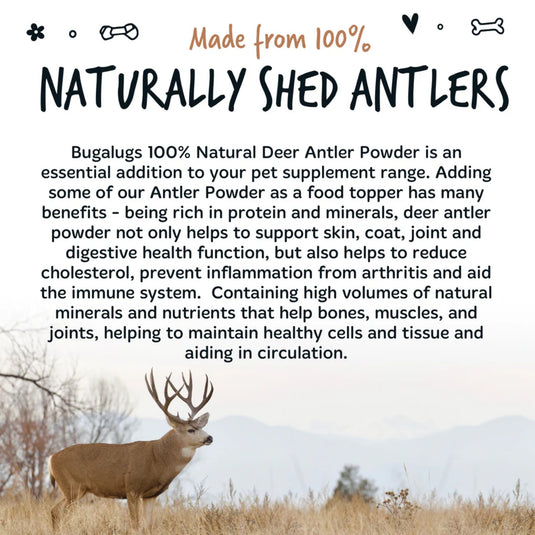Bugalugs Deer Antlers Supplement for Dogs – 70g