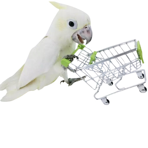 Pet La La Mini Shopping Cart – Fun Enrichment Toy for Small Birds (Assorted Colours)