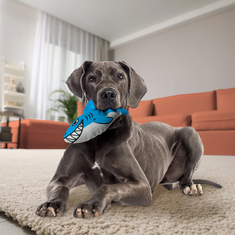 Load image into Gallery viewer, KONG Maxx Shark – Ultra-Durable Dog Toy for Power Chewers
