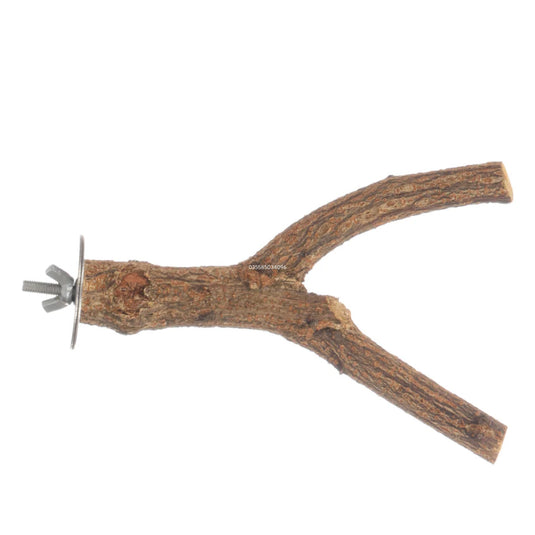 Apple Tree Y Perch – Natural Wooden Bird Perch for Cages & Aviaries