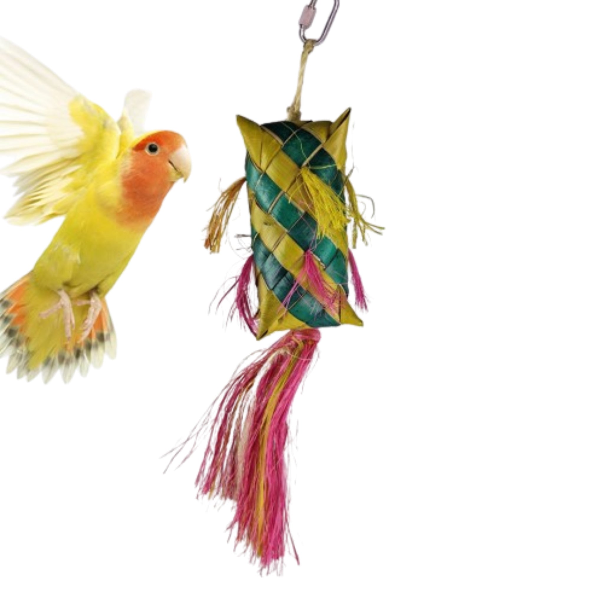Back Zoo Nature Carnival Pinata – Fun & Engaging Toy for Birds – Our ...