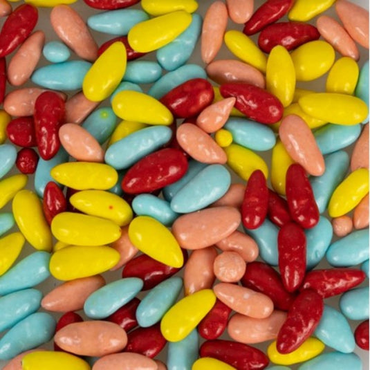 Back Zoo Nature Sunflower Seed Treats 100g – Honey Coated Parrot Snack