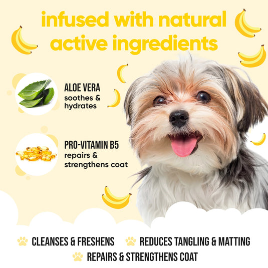 Buddycare Banana Shampoo for Dogs 500ml – Gentle Cleansing with Banana Scent
