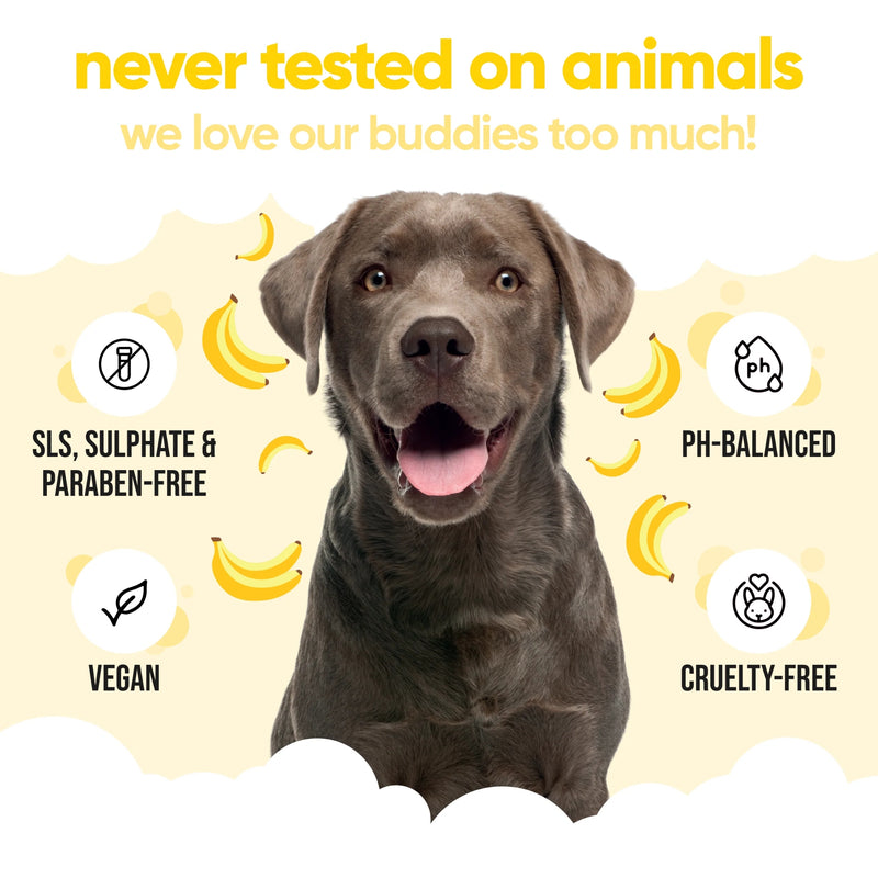 Load image into Gallery viewer, Buddycare Banana Shampoo for Dogs 500ml – Gentle Cleansing with Banana Scent
