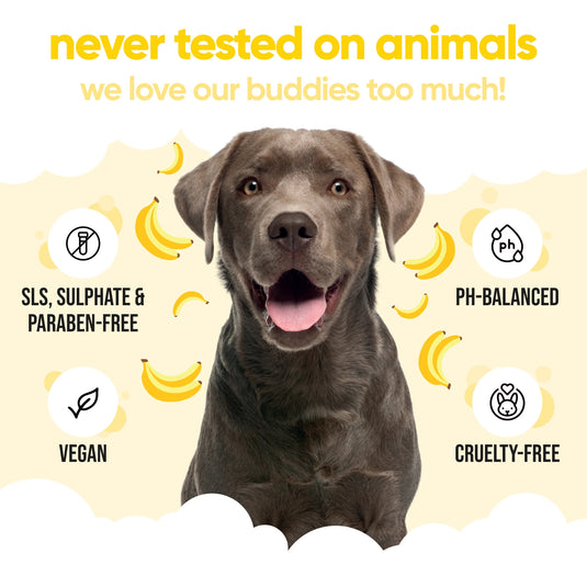 Buddycare Banana Shampoo for Dogs 500ml – Gentle Cleansing with Banana Scent