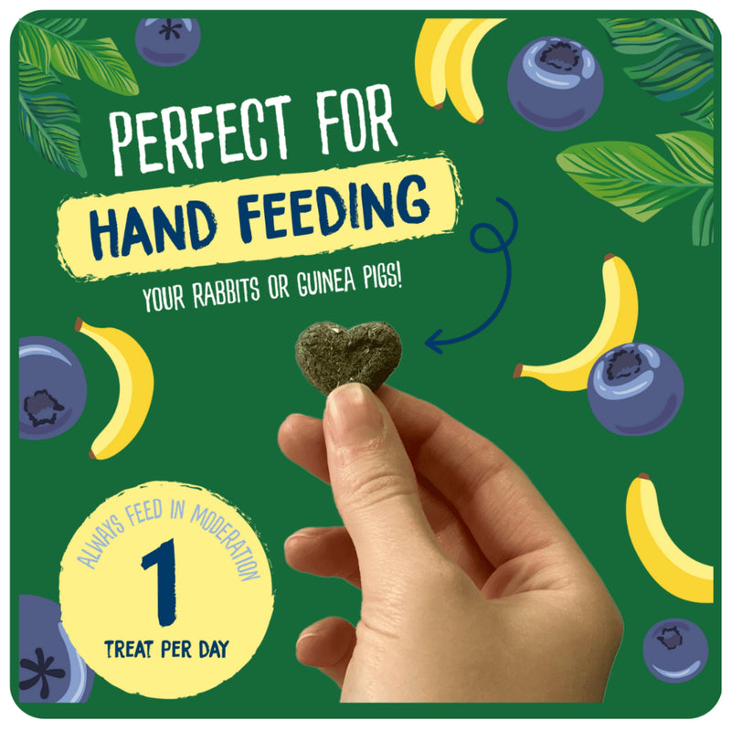 Load image into Gallery viewer, Burgess Fruity Feasts Treats – Tasty Treats for Rabbits &amp; Guinea Pigs
