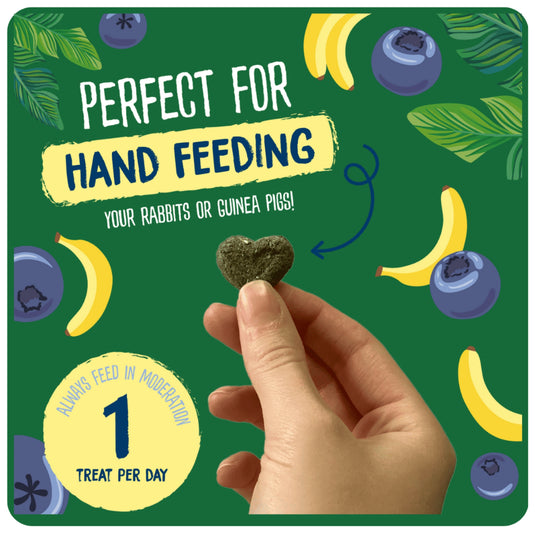Burgess Fruity Feasts Treats – Tasty Treats for Rabbits & Guinea Pigs