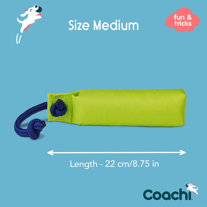 Load image into Gallery viewer, Coachi Training Dummy – Lime
