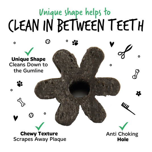 Bugalugs All Natural Chicken Flavour Seaweed Dental Sticks – Healthy Dog Chews