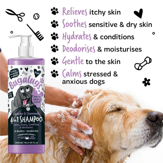 Bugalugs 4 in 1 Lavender & Chamomile Dog Shampoo 500ml – Gentle Cleansing & Conditioning