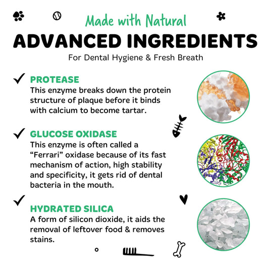 Bugalugs Advanced Enzymatic Toothpaste – Liver Flavour 75g for Dogs & Cats
