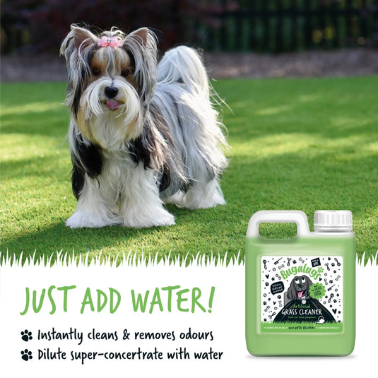 Bugalugs Artificial Grass Cleaner 1 Litre – Cut Grass Scent for Pet Areas