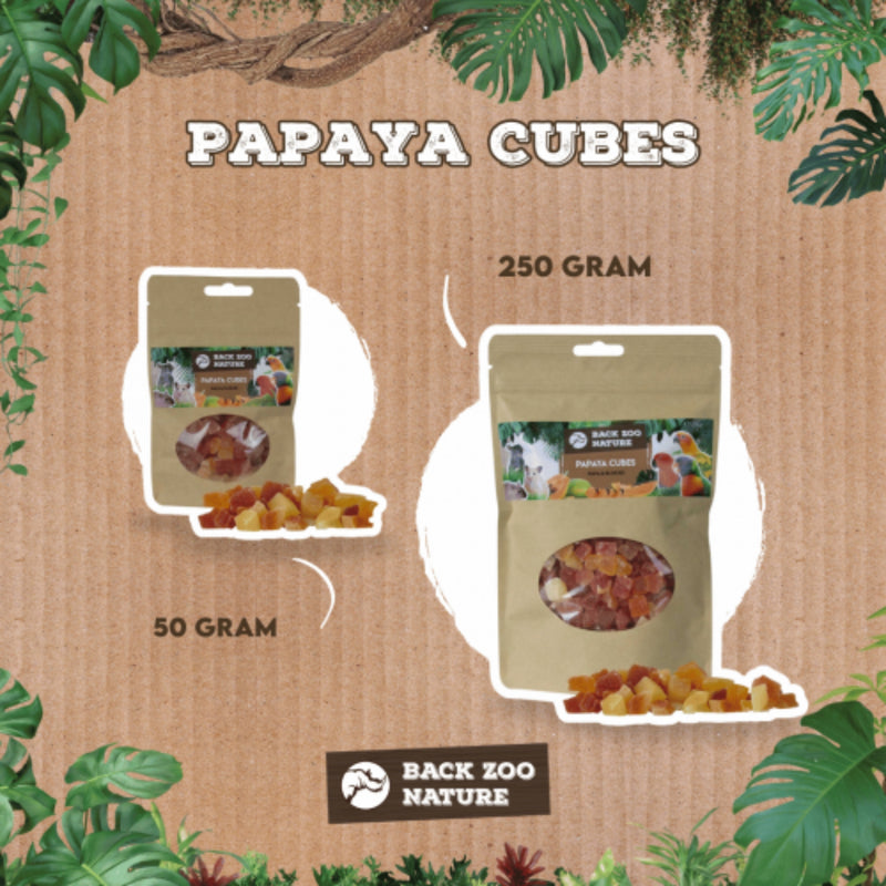 Load image into Gallery viewer, Back Zoo Nature Papaya Cubes – Natural Treats for Birds &amp; Rodents
