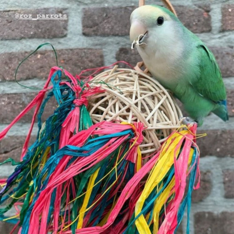 Load image into Gallery viewer, Back Zoo Nature Hay Sway Natural Bird Toy

