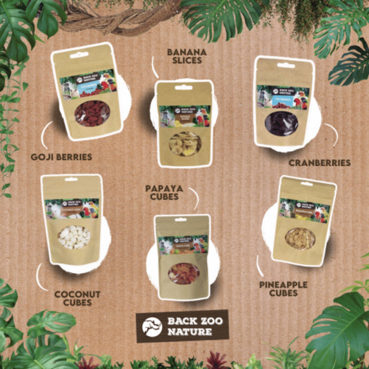 Back Zoo Nature Papaya Cubes – Natural Treats for Birds & Rodents