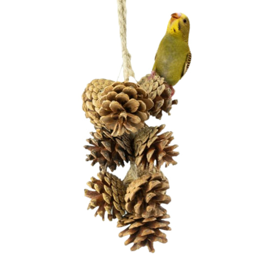 Back Zoo Nature Pine Cone Garland natural foraging toy for birds