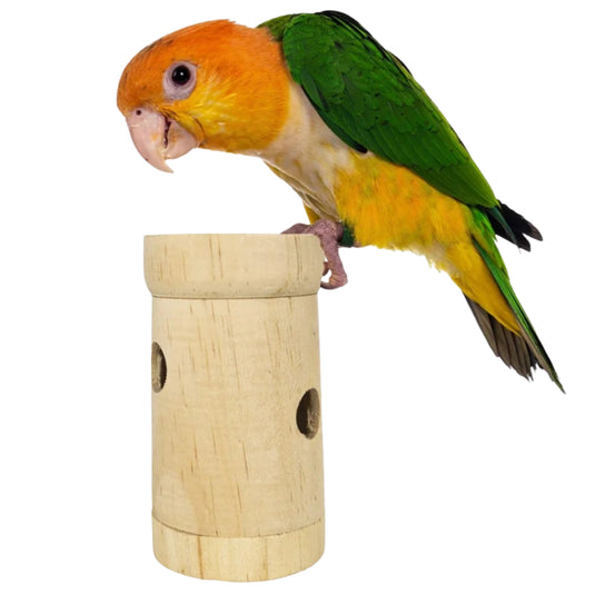 Back Zoo Nature Snack Roll interactive foraging toy for birds