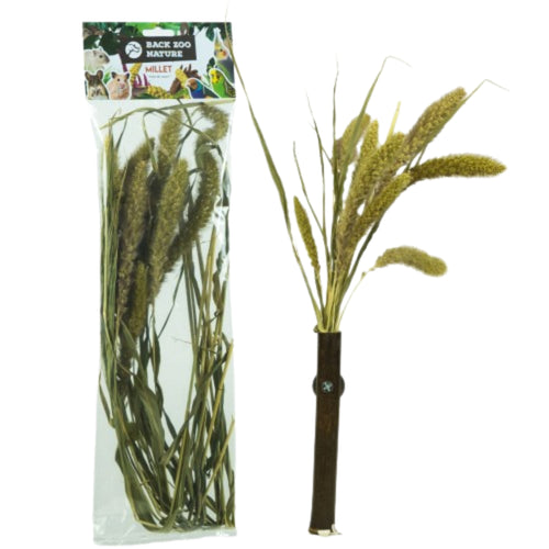 Back Zoo Nature Millet Setaria 30g – Natural Bird Treat for Parrots, Parakeets, and Small Birds