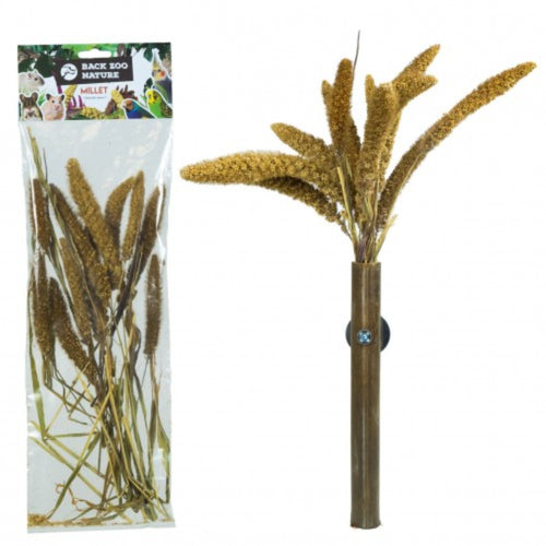 Back Zoo Nature Millet Setaria Italica 50g – Natural Bird Treat for Parrots, Parakeets, and Small Birds
