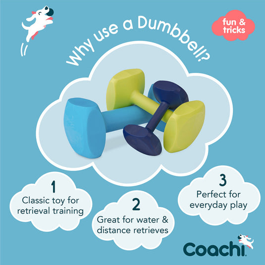 Coachi Training Dumbbell – Navy Small | Durable Dog Retrieval Toy