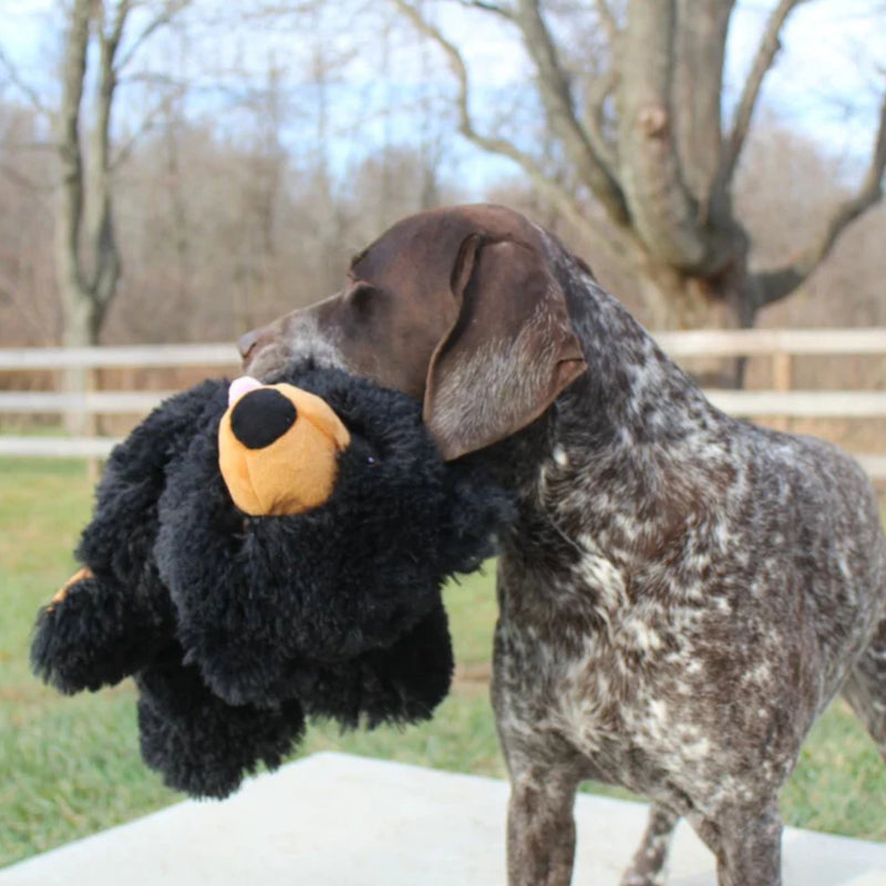 Load image into Gallery viewer, Tall Tails Stuffless Black Bear Dog Toy – No Stuffing Plush Toy
