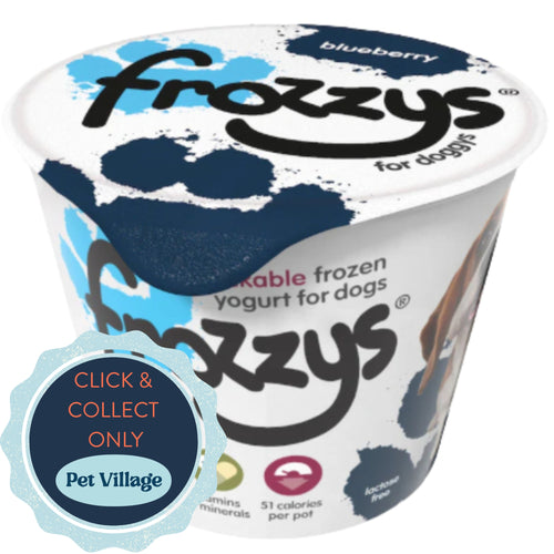 Frozzys Frozen Yoghurt for Dogs - Blueberry Flavour 85g