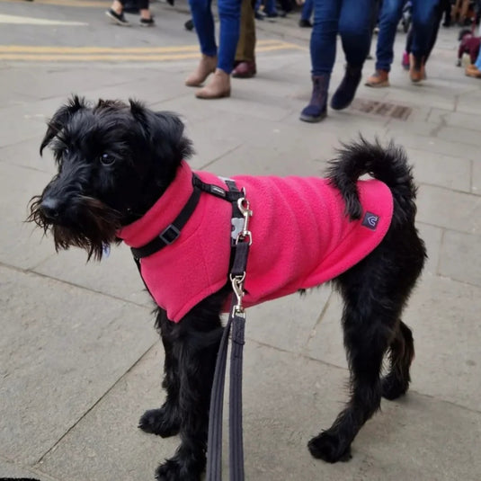 Doghouse Fleece Jumper – Warm & Cosy Dog Jumper