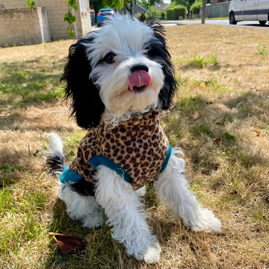 Doghouse Wild Animal Fleece – Warm & Fun Dog Fleece Jumper